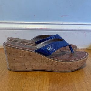 Sam Edleman Blue Flip Flop Wedges